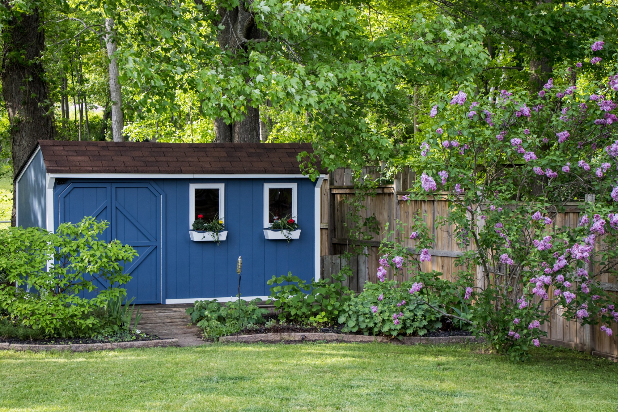 Contemporary Shed